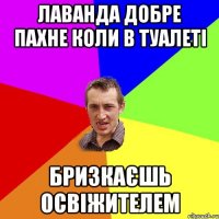 Лаванда добре пахне коли в туалеті бризкаєшь освіжителем