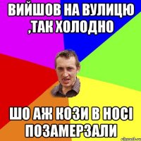 вийшов на вулицю ,так холодно шо аж кози в носі позамерзали