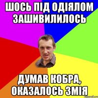 ШОСЬ ПІД ОДІЯЛОМ ЗАШИВИЛИЛОСЬ ДУМАВ КОБРА, ОКАЗАЛОСЬ ЗМІЯ