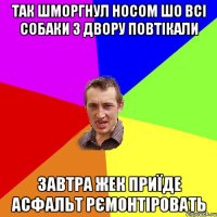 так шморгнул носом шо всі собаки з двору повтікали завтра жек приїде асфальт рємонтіровать