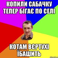 Копили сабачку тепер бігає по селі котам вєртухі їбашить