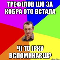 трефілов шо за кобра ото встала чі то ірку вспоминаєш?