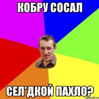 КОБРУ СОСАЛ СЕЛ'ДКОЙ ПАХЛО?