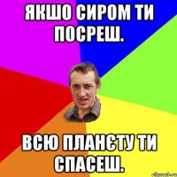 Якшо сиром ти посреш. Всю планєту ти спасеш.