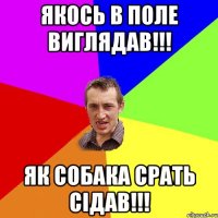 Якось в поле виглядав!!! Як собака срать сідав!!!