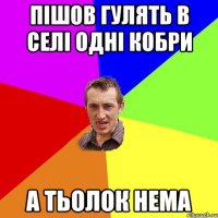 пішов гулять в селі одні кобри а тьолок нема