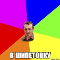  в шипетовку