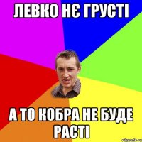 Левко нє грусті а то кобра не буде расті