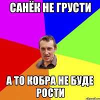 САНЁК НЕ ГРУСТИ А ТО КОБРА НЕ БУДЕ РОСТИ