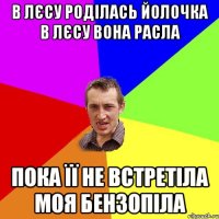 В лєсу роділась йолочка в лєсу вона расла ПОКА ЇЇ НЕ ВСТРЕТІЛА МОЯ БЕНЗОПІЛА