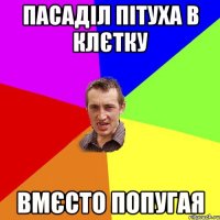 пасаділ пітуха в клєтку вмєсто попугая