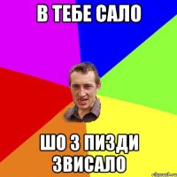 В тебе сало Шо з пизди звисало