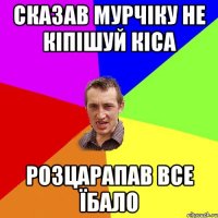 сказав мурчіку не кіпішуй кіса розцарапав все їбало