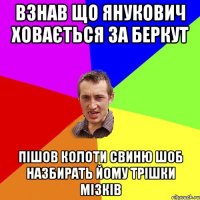 взнав що янукович ховається за беркут пішов колоти свиню шоб назбирать йому трішки мізків