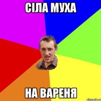 Сiла муха На вареня