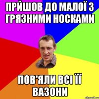 прйшов до малої з грязними носками пов'яли всі її вазони