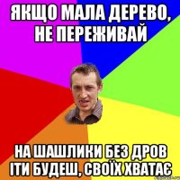 Якщо мала дерево, не переживай на шашлики без дров іти будеш, своїх хватає