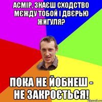 Асмip, знаєш сходство мєжду тобой i двєрью жигуля? Пока не йобнеш - не закроється!