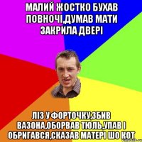 малий жостко бухав повночі,думав мати закрила двері ліз у форточку,збив вазона,оборвав тюль,упав і обригався,сказав матері шо кот