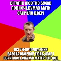 Віталік жостко бухав повночі,думав мати закрила двері ліз у форточку,збив вазона,оборвав тюль,упав і обригався,сказав матері шо кот