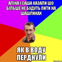 аліна і саша казали шо більше не будуть пити на шашликах як в воду перднули