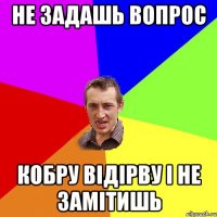 Не задашь вопрос кобру відірву і не замітишь