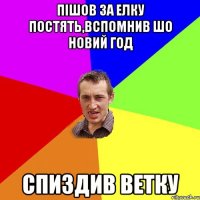 пішов за елку постять,вспомнив шо Новий Год спиздив ветку