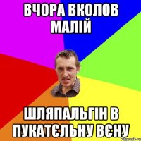 вчора вколов малій шляпальгін в пукатєльну вєну