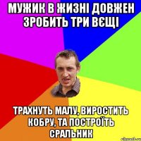 Мужик в жизні довжен зробить три вєщі трахнуть малу, виростить кобру, та построїть сральник