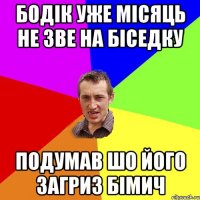 Бодік уже місяць не зве на біседку Подумав шо його загриз бімич