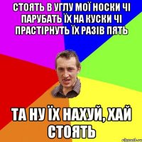 Стоять в углу мої носки Чі парубать їх на куски Чі прастірнуть їх разів пять Та ну їх нахуй, хай стоять