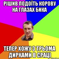 рішив подоїть корову на глазах бика тепер хожу з трьома дирками в сраці