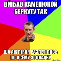 вйібав каменюкой беркуту так ша аж пірйя разлетілись по всёму зоопарку