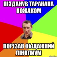 Пізданув таракана ножаком Порізав общажний лінолиум