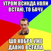 Утром всикда коли встаю, то бачу шо кобра уже давно встала