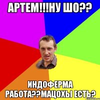 артем!!!ну шо?? индоферма работа??мацохы есть?