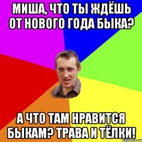 Миша, что ты ждёшь от нового года быка? А что там нравится быкам? Трава и тёлки!