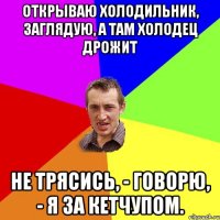 Открываю холодильник, заглядую, а там холодец дрожит Не трясись, - говорю, - я за кетчупом.