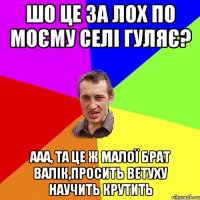 Шо це за лох по моєму селі гуляє? Ааа, та це ж малої брат Валік,просить ветуху научить крутить