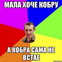 мала хоче кобру а кобра сама не встае