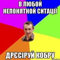 в любой непонятной ситації дрєсіруй кобру