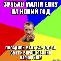 Зрубав Малій Елку на Новий год Посадили Малу на 7 год за сбит и виращювання наркотиків