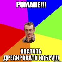 РОМАНЕ!!! ХВАТИТЬ ДРЕСИРОВАТИ КОБРУ!!!