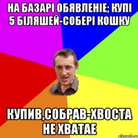 На базарі обявленіе; купі 5 біляшей-собері кошку Купив,собрав-хвоста не хватае