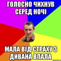 голосно чихнув серед ночі мала від страху з дивана впала