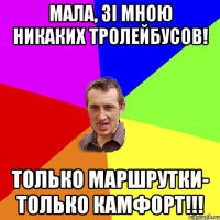 Мала, зi мною никаких тролейбусов! Только маршрутки- только камфорт!!!