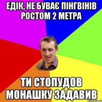 Едік, не буває пінгвінів ростом 2 метра Ти стопудов монашку задавив