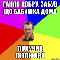 ганяв кобру, забув що бабушка дома получив пізлюлєй