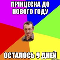 Прінцеска до нового Году осталось 9 дней