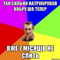 Так сильно натрінірував кобру шо тепер вже 7 місяців не спить